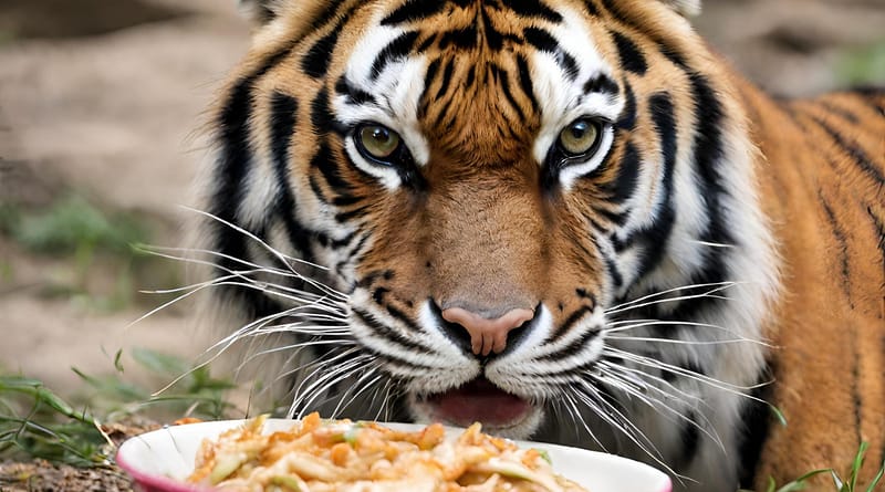 What do tigers eat in the zoo
